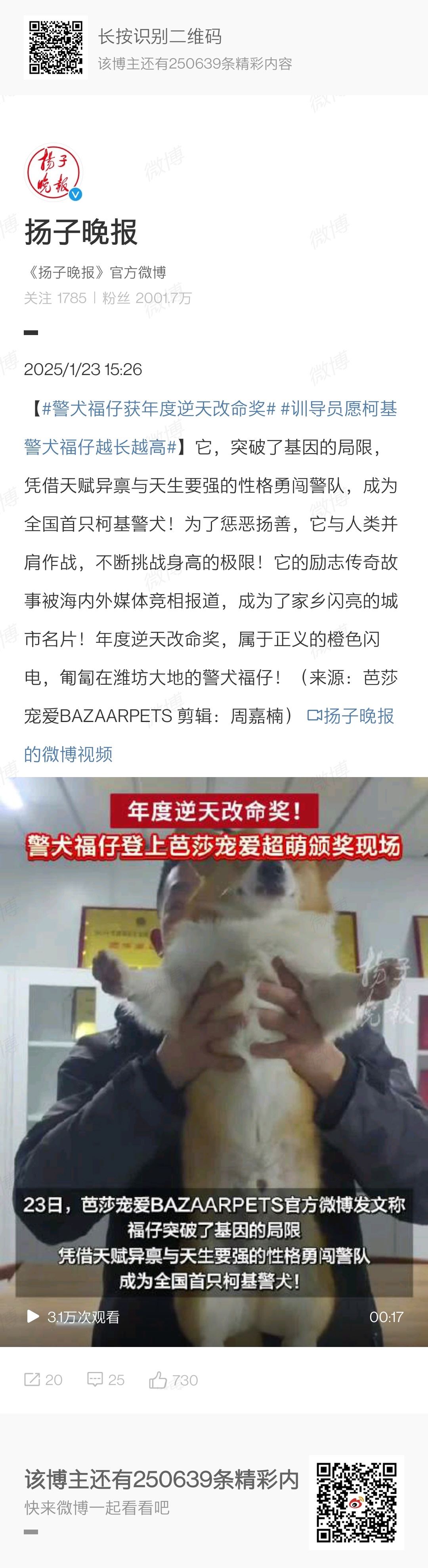 【 警犬福仔获年度逆天改命奖  训导员愿柯基警犬福仔越长越高 】给大家报告网红狗