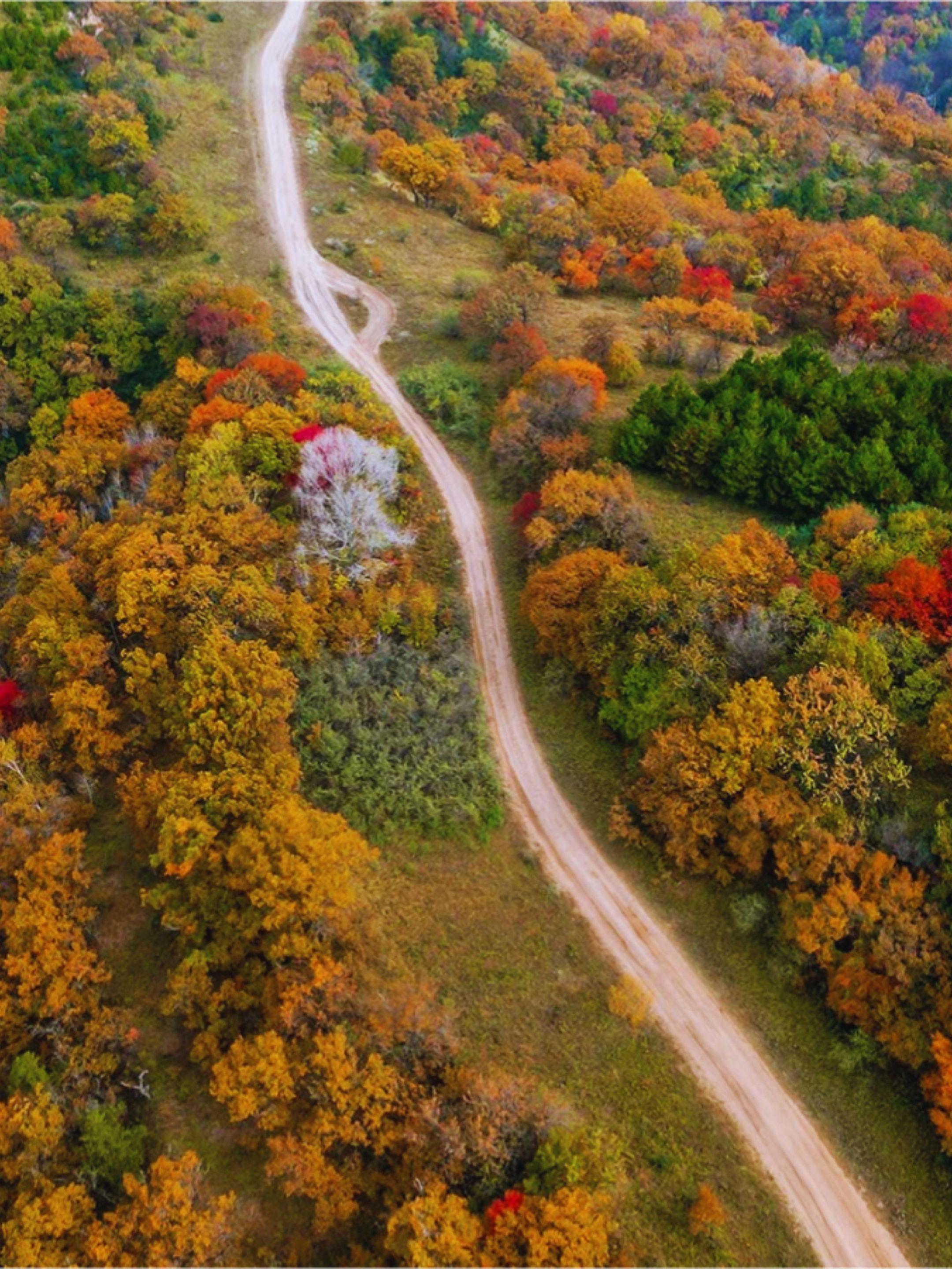 陕西“大兴安岭”被严重低估的赏秋宝藏地。提起秦直道——这条千年古道，被...