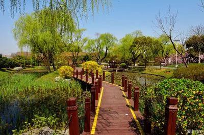 在喧嚣中修得一颗清静心，
便能与春风撞个满怀，看遍人间温柔。

每日分享一句人生