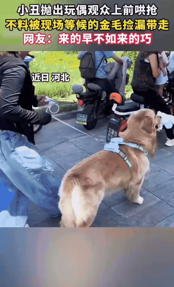 什么叫幸运修勾，完美诠释来得早不如来得巧。