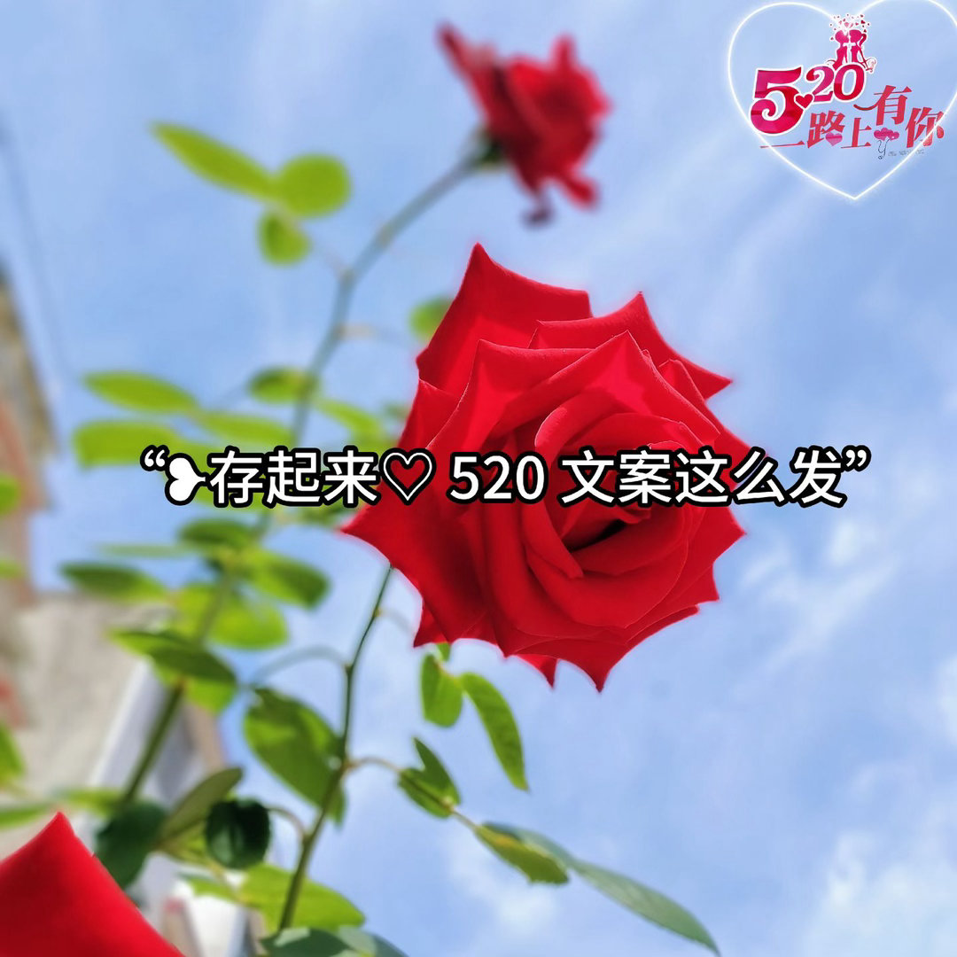 1．“今年520撞上5.21小满，是人间最温柔的相逢，平凡如我们，不负遇见，不负