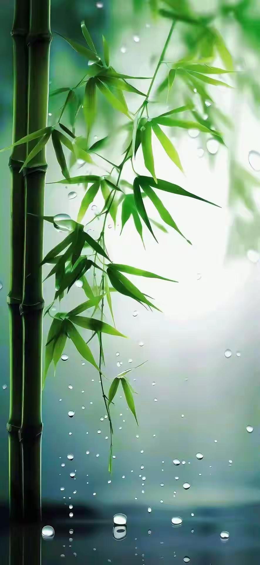 不记得谁说的了：人各有各的美，各有各的特长，谁也不必羡慕谁，各自是各自最好，这便