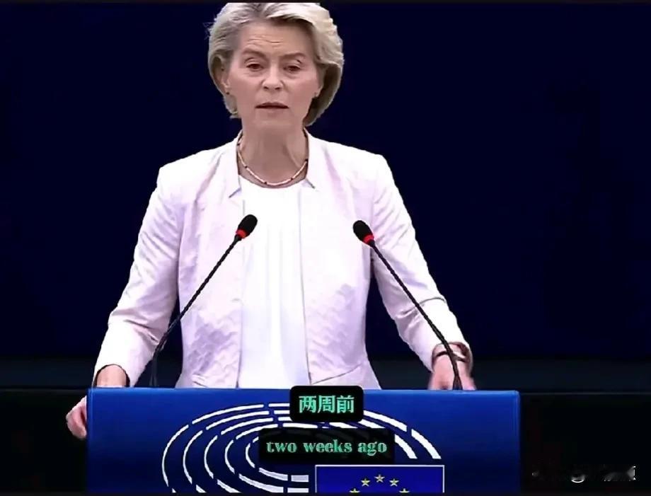 匈牙利总理欧尔班成了欧盟国家的公敌，直接被冯德莱恩批得一无是处，欧尔班现场虽然异