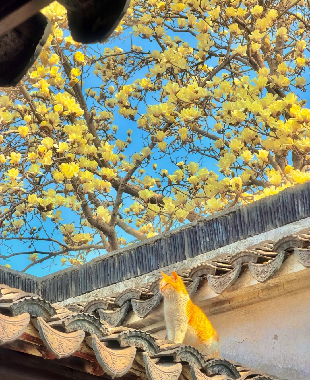 影石Luna被吐槽太贵一件东西贵不贵，本来就是很主观的事。有人看重预算，有人在意
