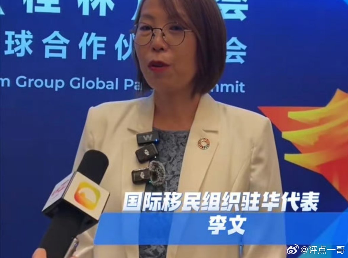 一个所谓的国际机构，一个所谓的驻华代表，天天在我国境内各种场合各个机关各个高校疯