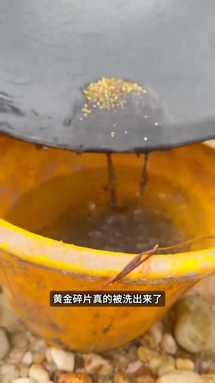 泥沙里掏黄金。
注意看，女子在野外挖的可不是什么普通泥巴，而是一夜翻身的金土。