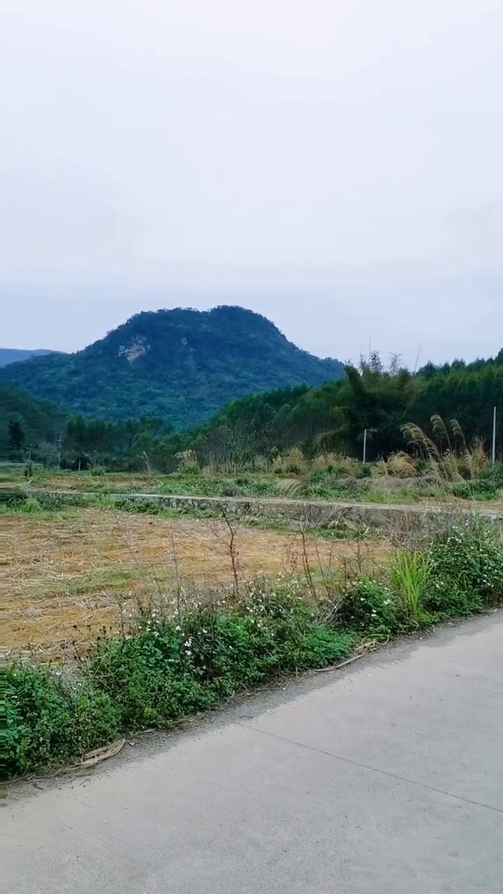 太阴金星山风景。