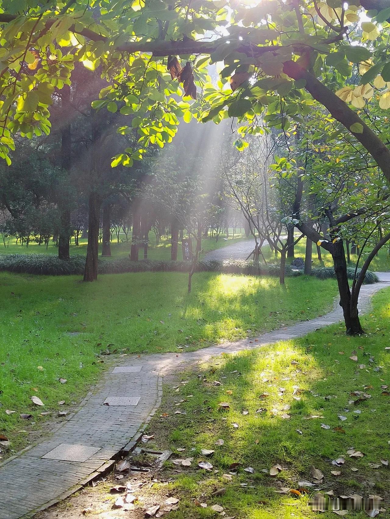 霜降节气，漫步在扬州瘦西湖，再去品味著名诗人杜牧的诗句 “ 青山隐隐水迢迢，秋尽