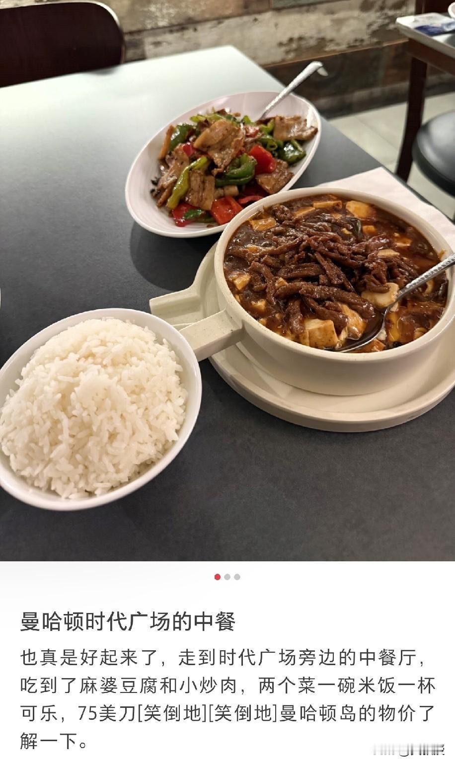 移民美国🇺🇸也不容易啊！
美国纽约中餐馆，两个菜一碗饭，人民币530块钱，太