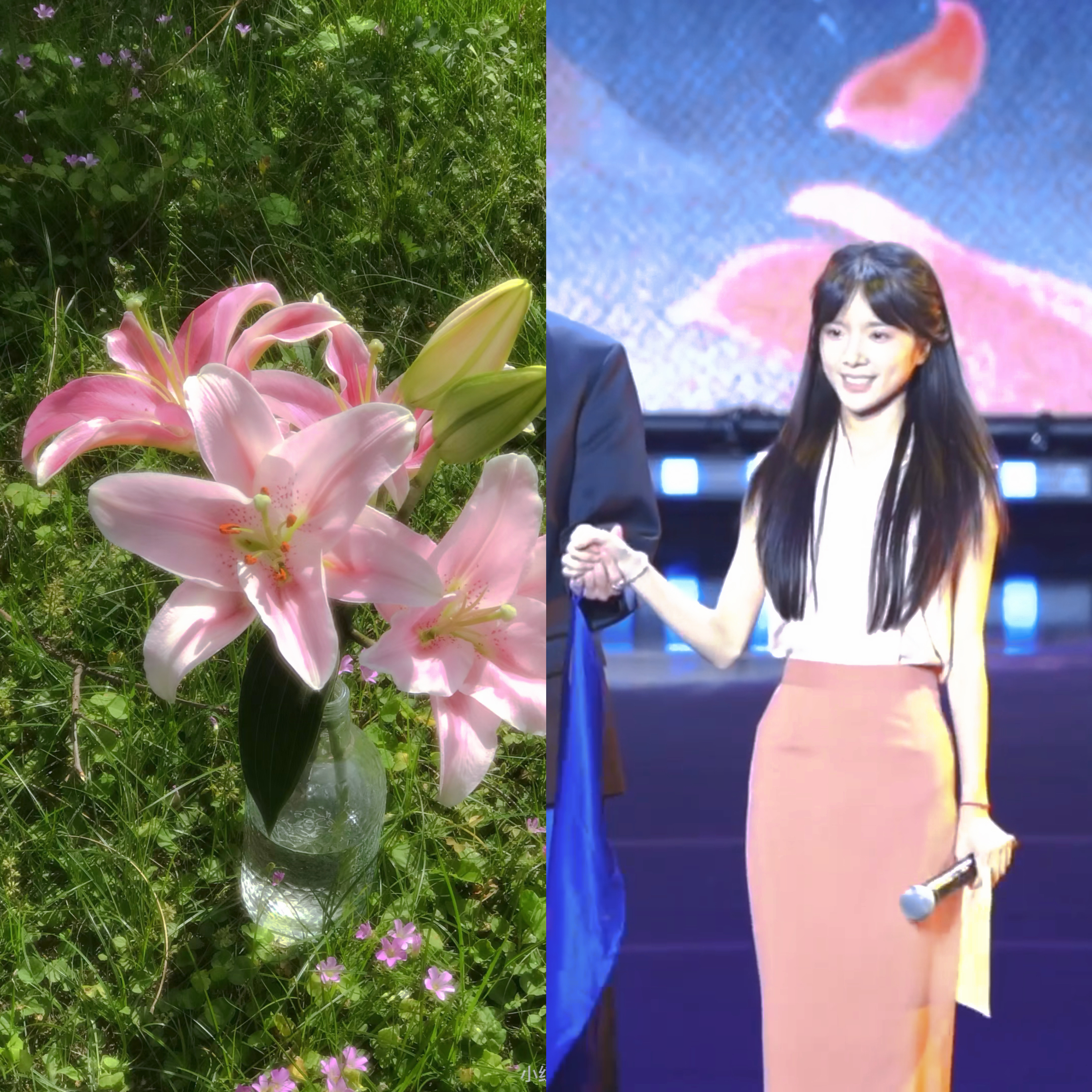 🌷 