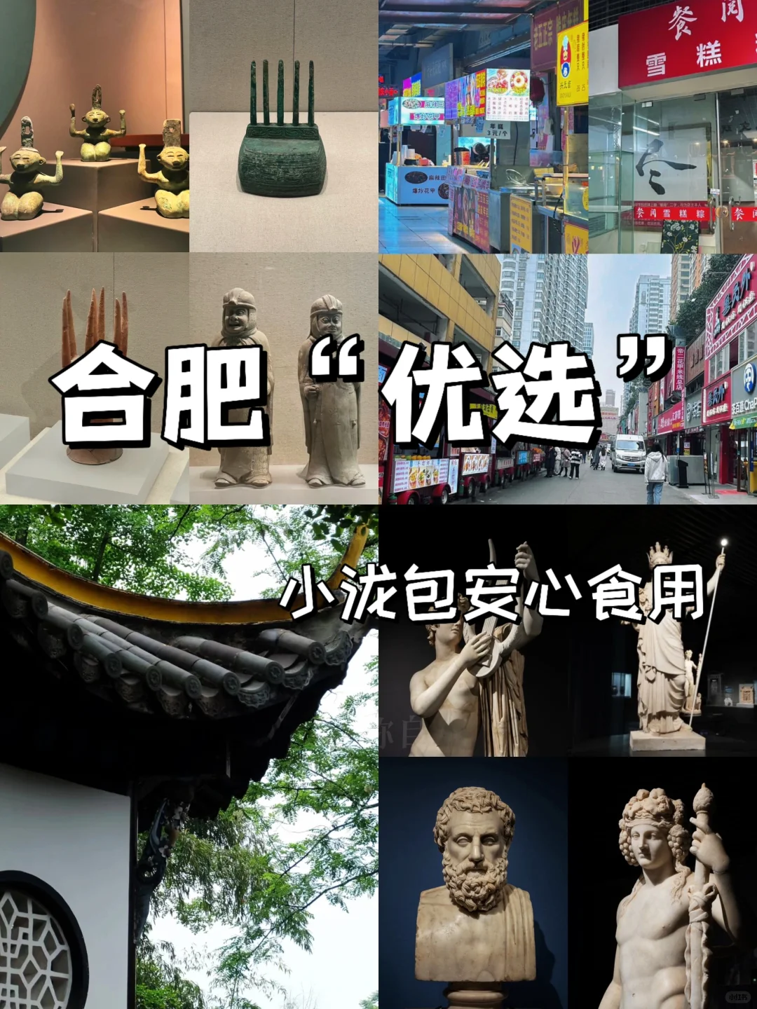 小泷包们来合肥，千万别错过这几个🆓去处！