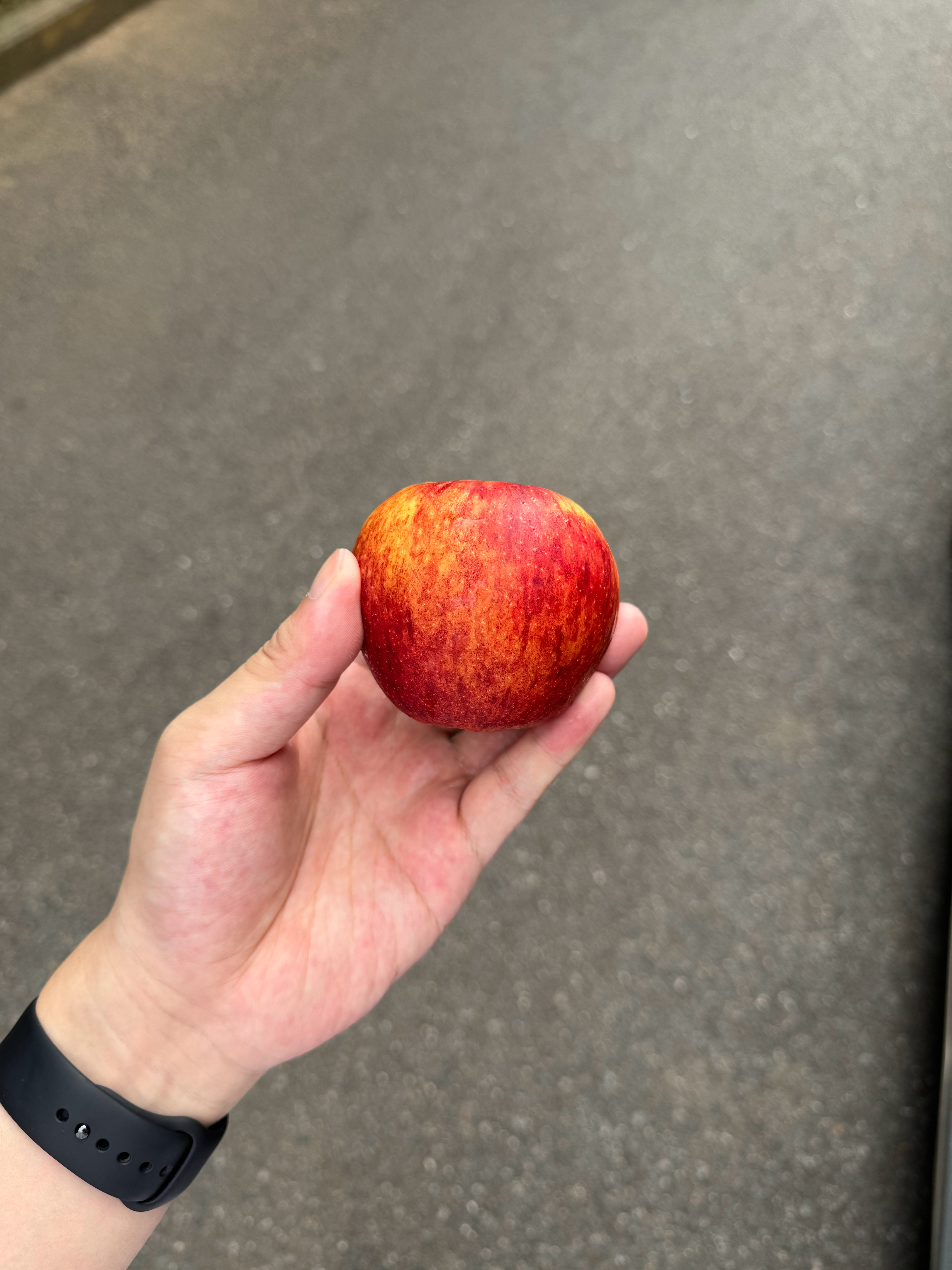 爱妃苹果是我迄今为止吃过最好吃的苹果🍎 