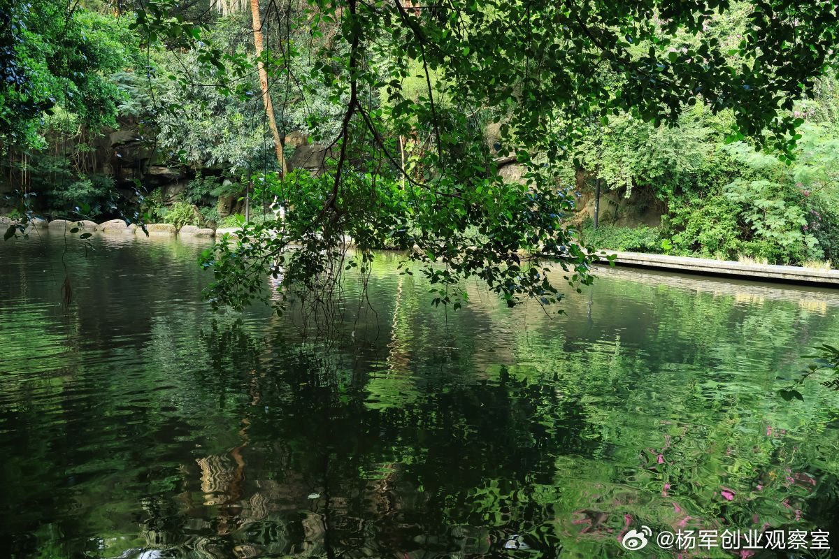 老板找个司机、亲戚随便挂名当“法定代表人”，自己躲在幕后操控？新《公司法》重拳出