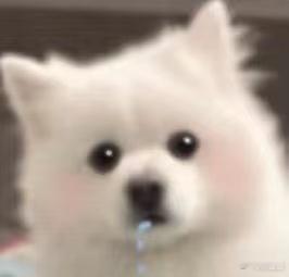 第一批五一寄养钱的人出现了手里有点闲钱别闲着，拿去寄养超省心，终于也能让钱帮自己