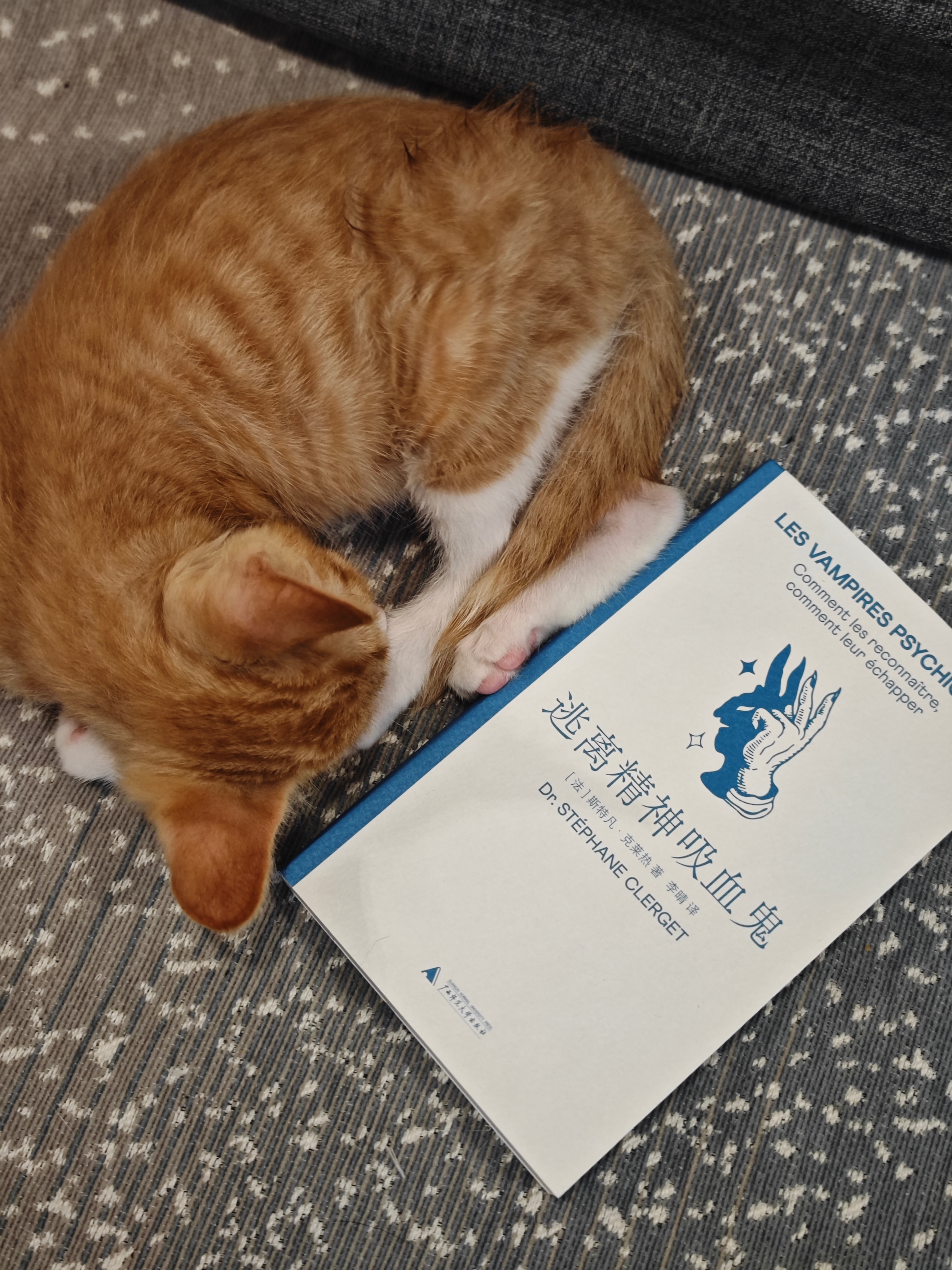 这是最近很喜欢的一本书，《逃离精神吸血鬼》切中了大多数人的境况！书中拆解了职场、