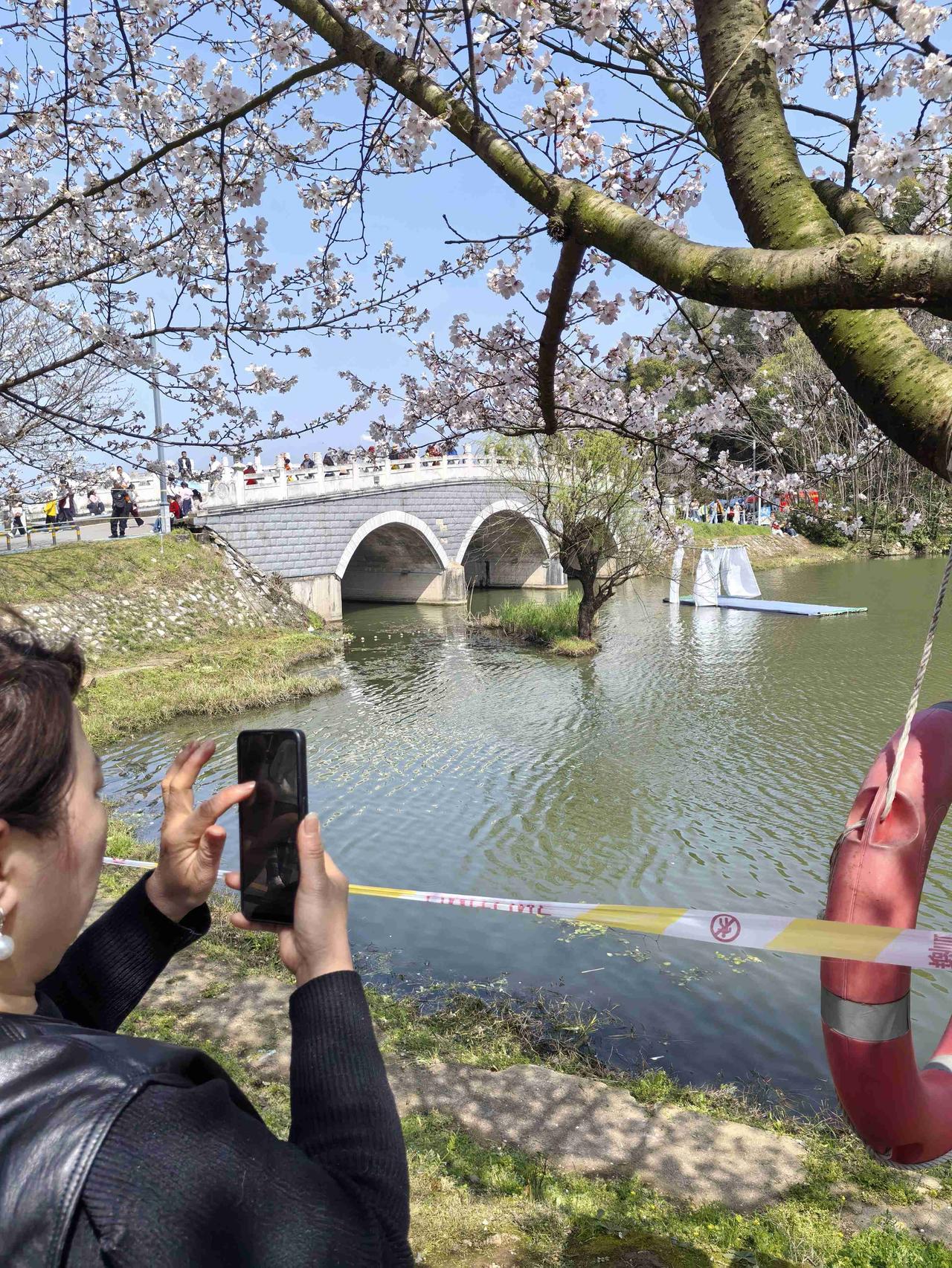 带定位晒今日生活 今天状态超轻松愉快，黄石这大晴天简直绝了！我来到磁湖，这儿的樱