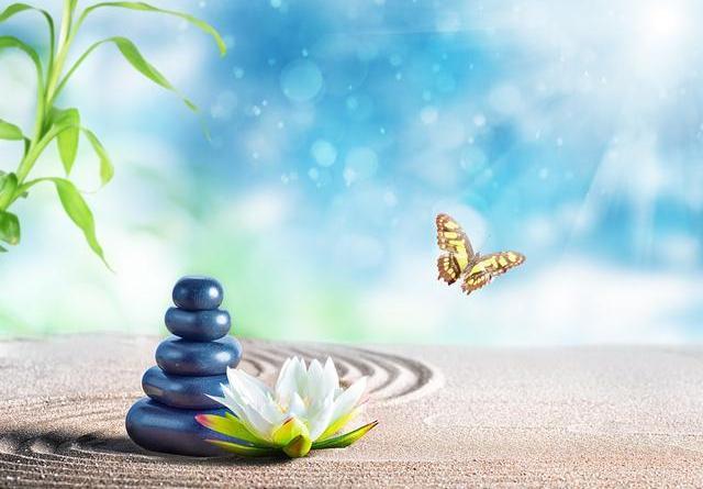 《生活最重要的是什么？这三个答案，藏着人生的终极密码》
 
清晨的阳光透过纱窗，