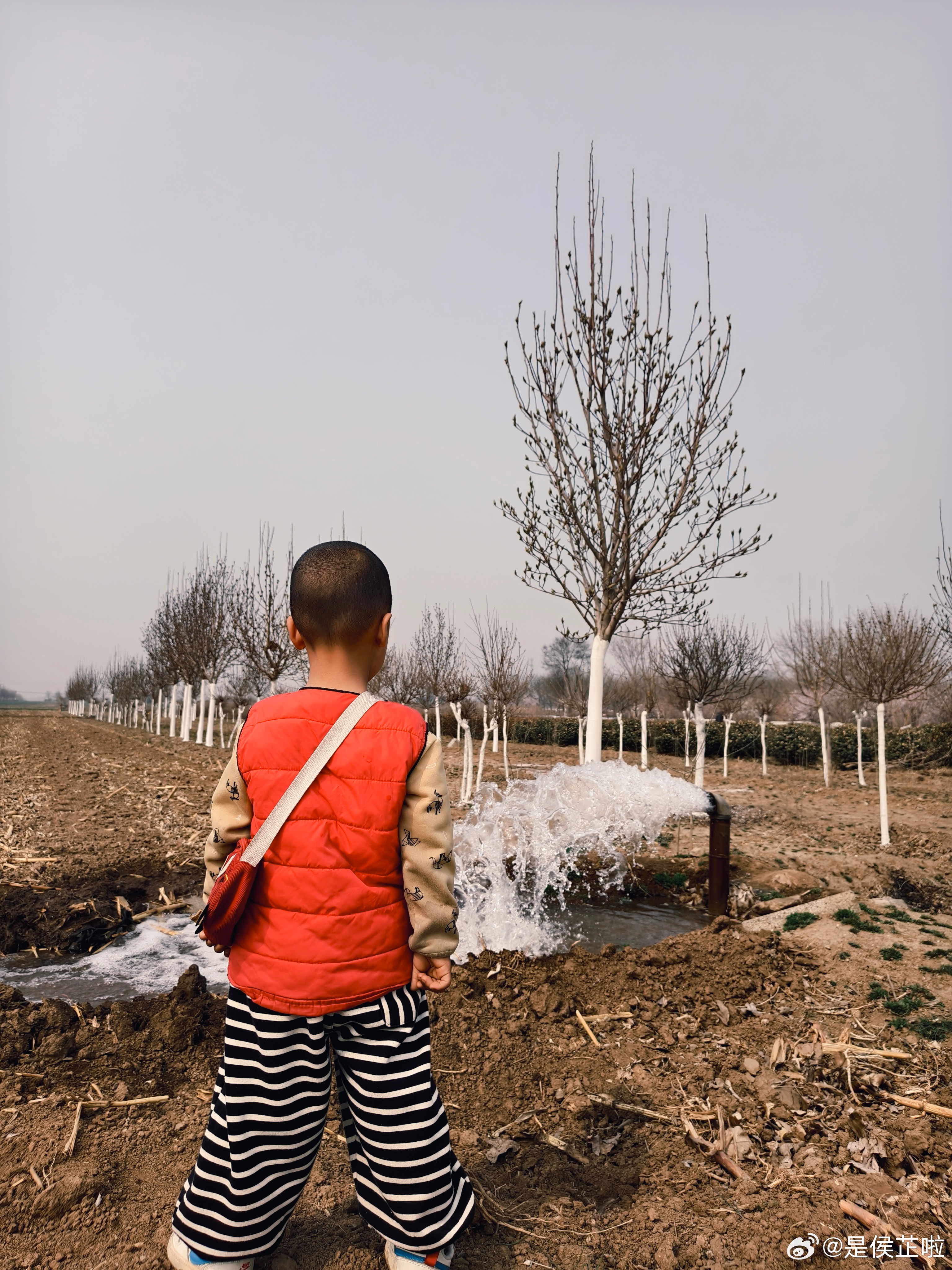 今天的大户外玩儿了土，看了水井泵水，还看了杏花和桃花接下来的日子里，要更多地去大