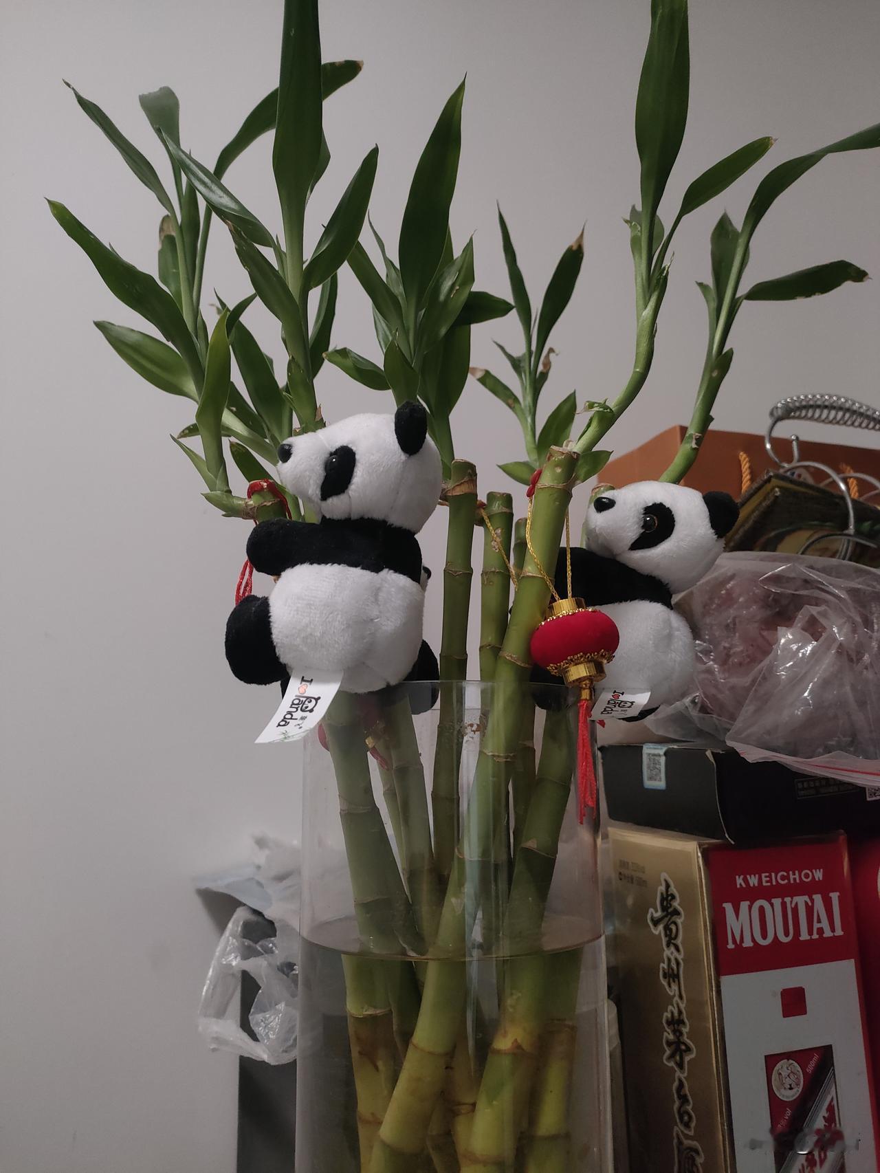 下联：世上难逢百岁人

这幅对联的下联“世上难逢百岁人”，与上联“山中易见千年树