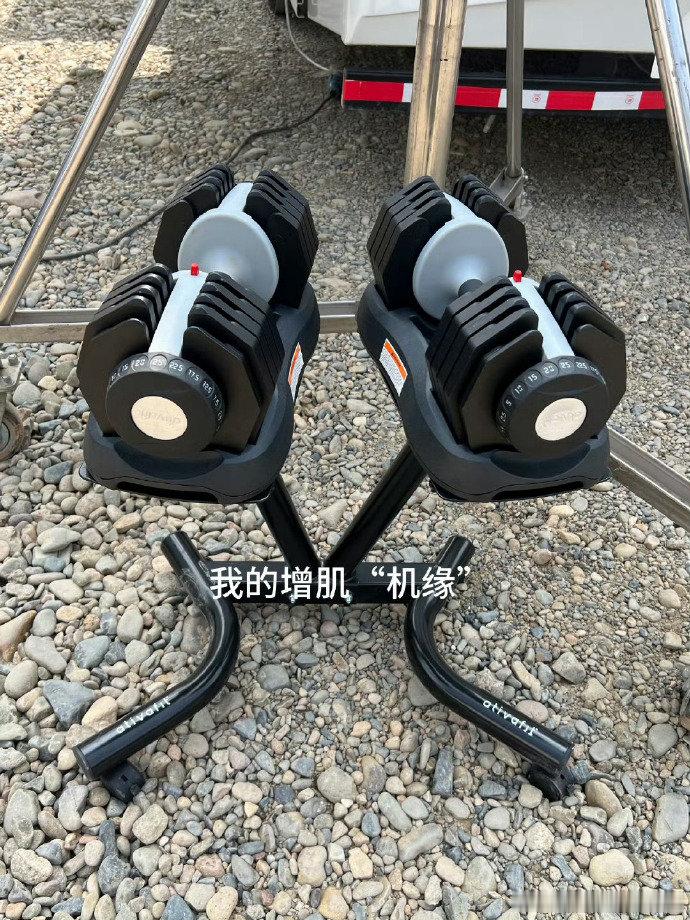 吴磊被老鼠干整没招了  吴磊这总结也太直白了吧，好吃好玩好圆，妥妥的流水账大师，