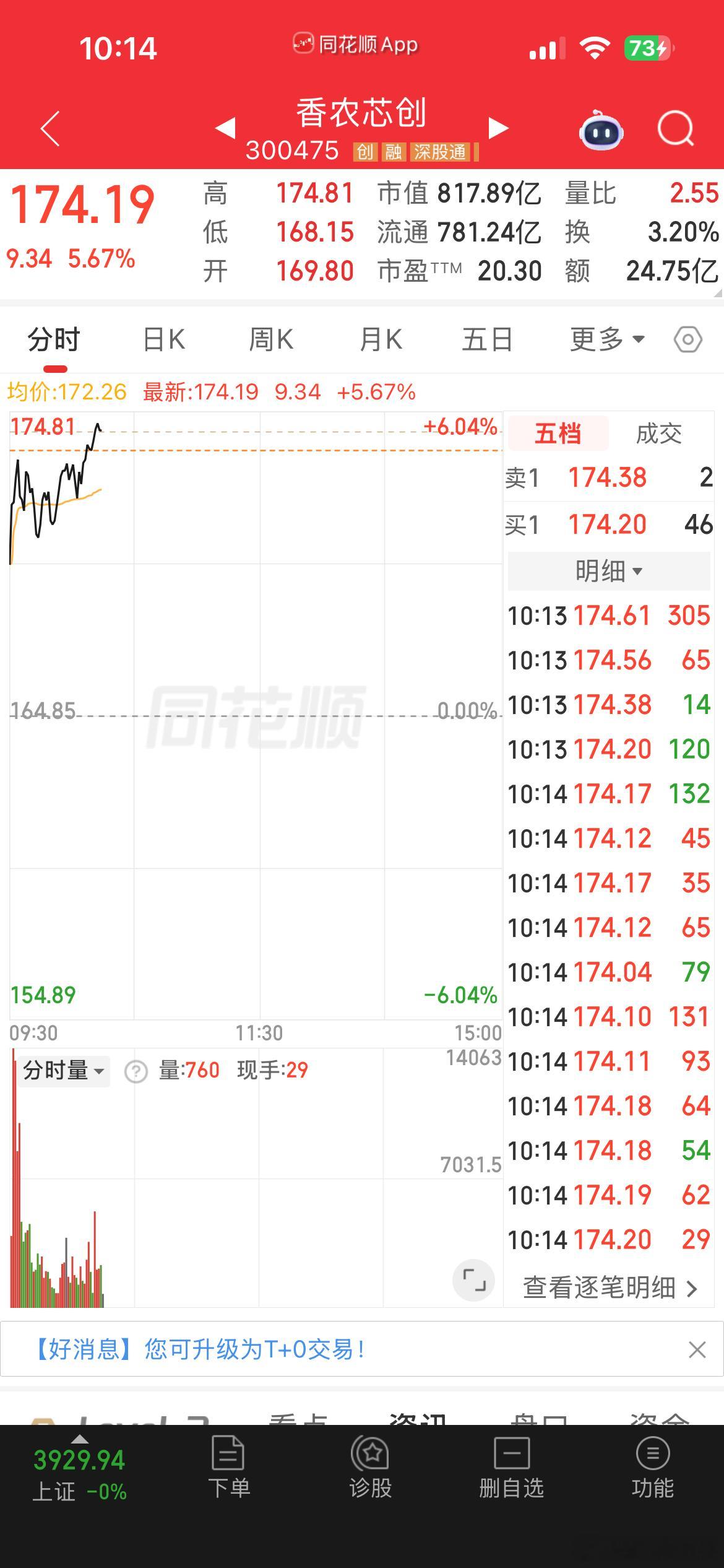 香农红了，多多给点力啊 ​​​