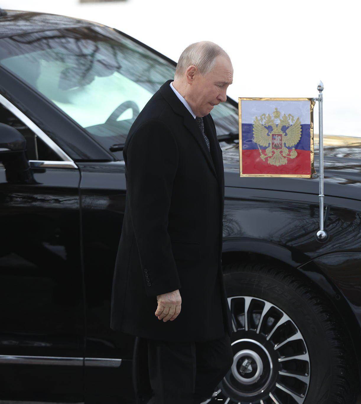 瓦洛佳小朋友  圆滚滚咪 