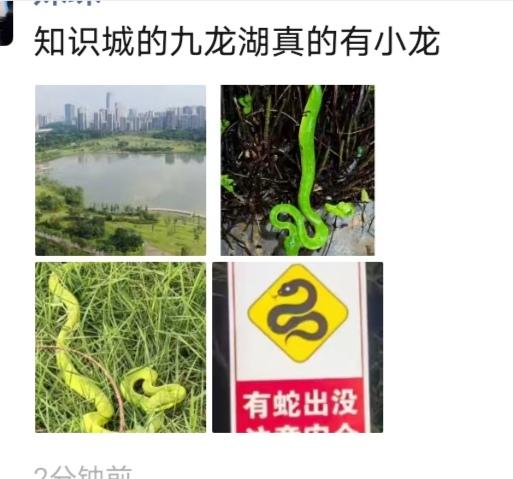 最近几乎天天下雨，出太阳的时候有些人就喜欢带孩子出来玩了，但是广州黄埔区知识城九
