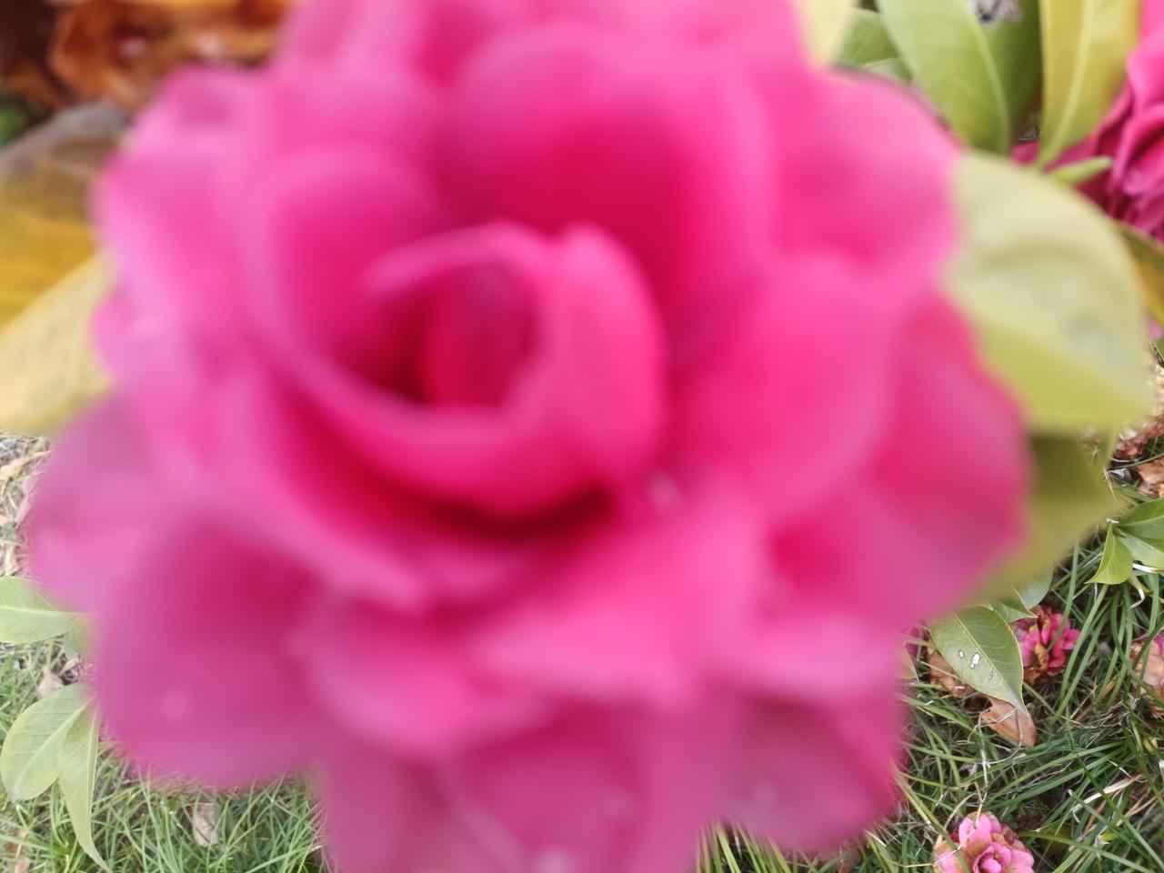 善良给你带来了什么