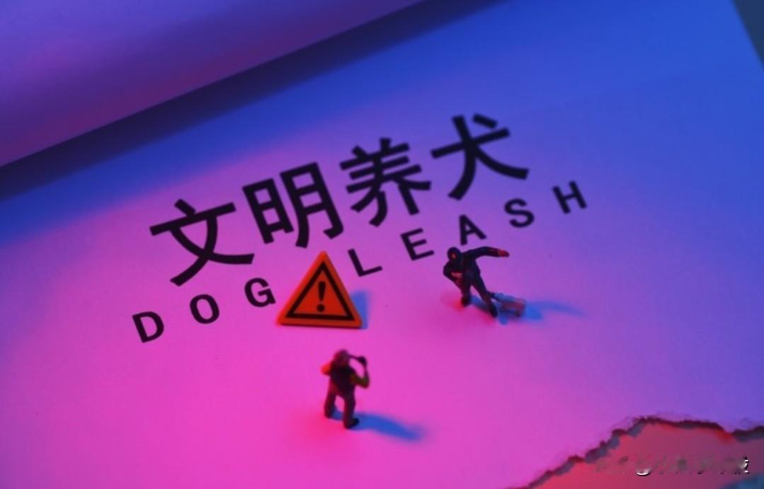 外围高开跳水，全线普跌，这个我倒是不感兴趣，我对量化的所作所为感到悲哀，气愤！！