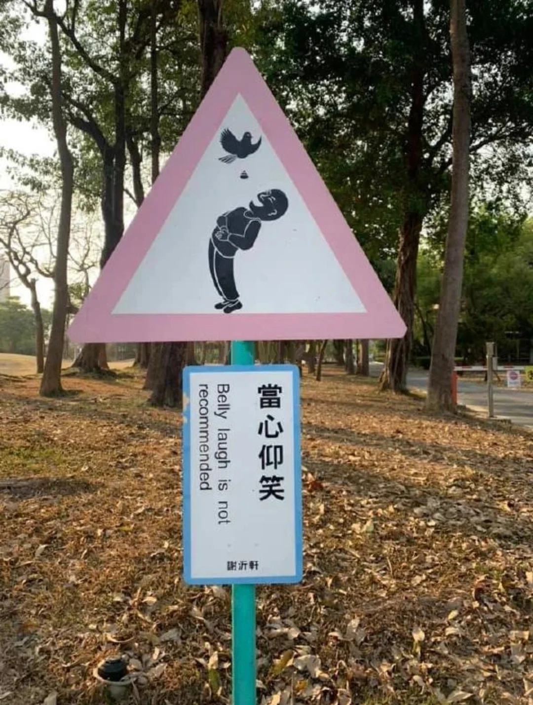 已经没有图片能让我笑了｜搞笑对话，神评论