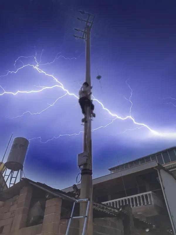 强降雨天气如何预防触电事故？

大雨倾城，请对“电老虎”保持敬畏

暴雨如注，城