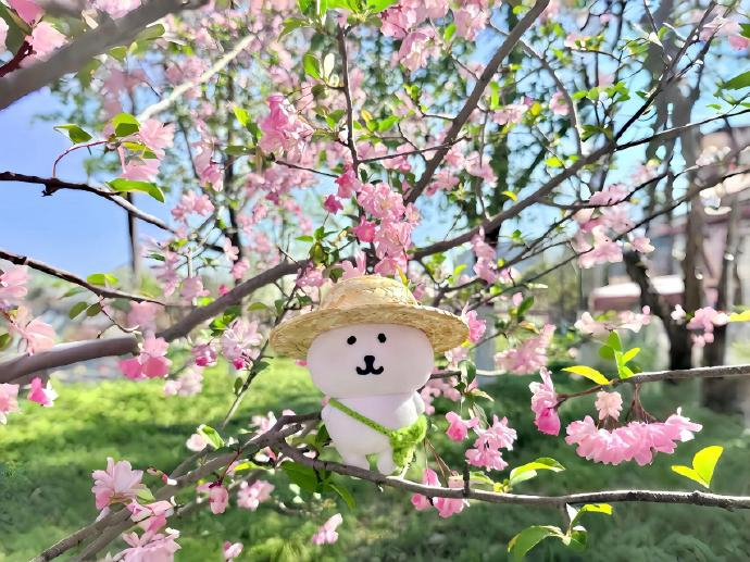 世上的事，认真不对，不认真更不对，执着不对，一切视作空也不对，平平常常，自自然然