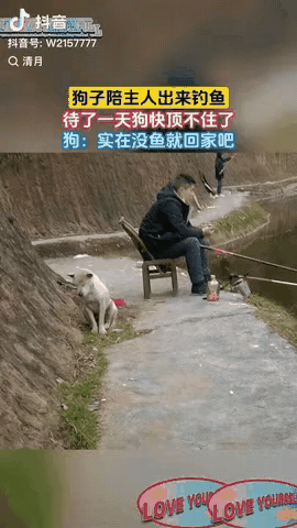 主人沉迷于钓鱼，毛孩子有点陪不起了，感觉它非常的疲倦，坐着直打瞌睡，这说明它在外