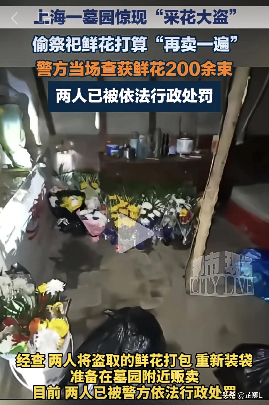 清明将至，墓碑前鲜花离奇失踪？上海警方无人机拍清真相，太缺德！
 
清明快到了，