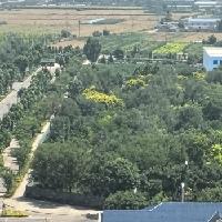 今天下午莫名其妙地刮风了风很大庆幸自己是个70公斤的胖子，要不然有可能刮到喜马拉