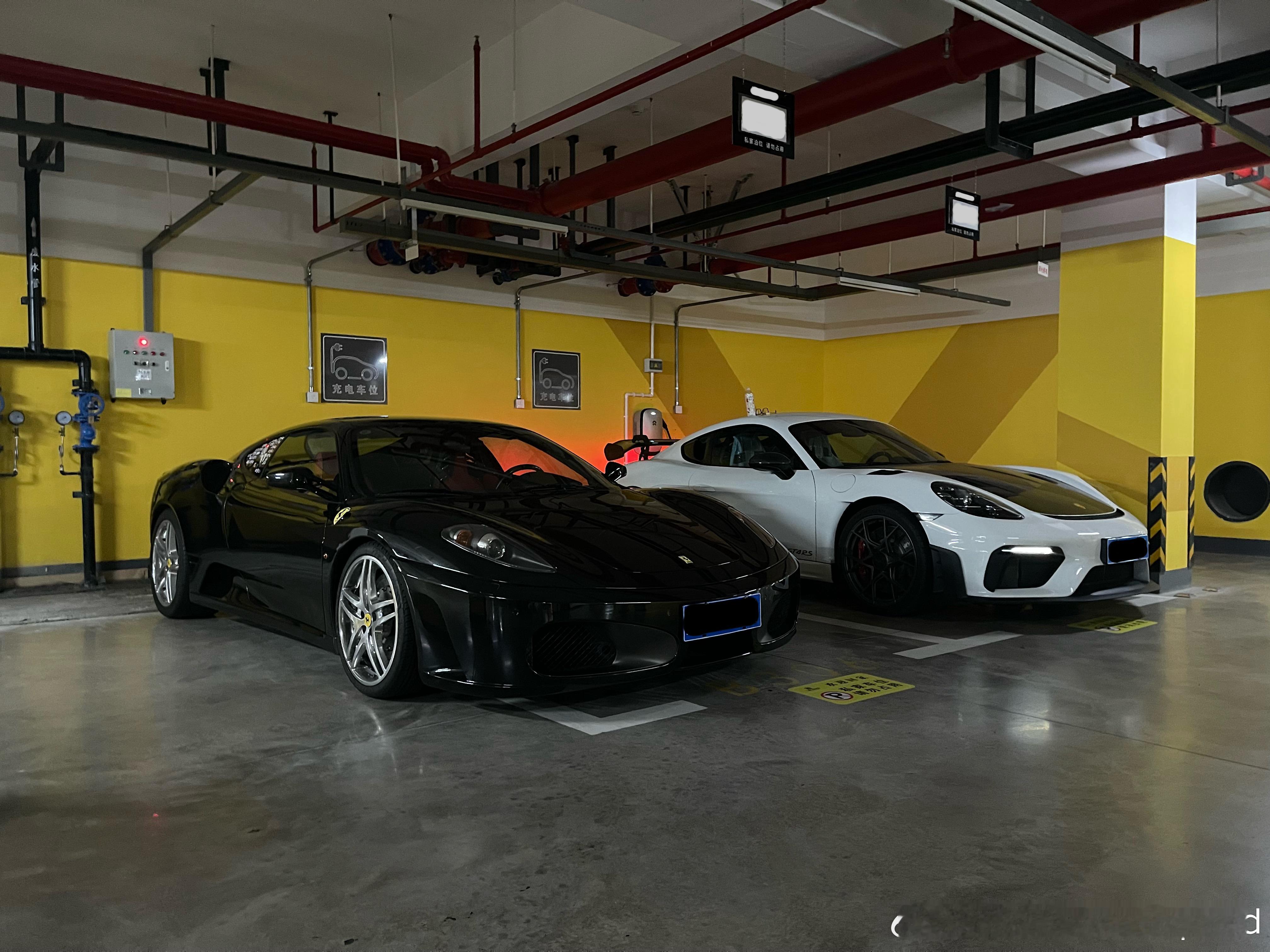 秋天到了，带小白来养老院看看小黑，就是无法停止对高转NA的热爱。无奈的是，本以为