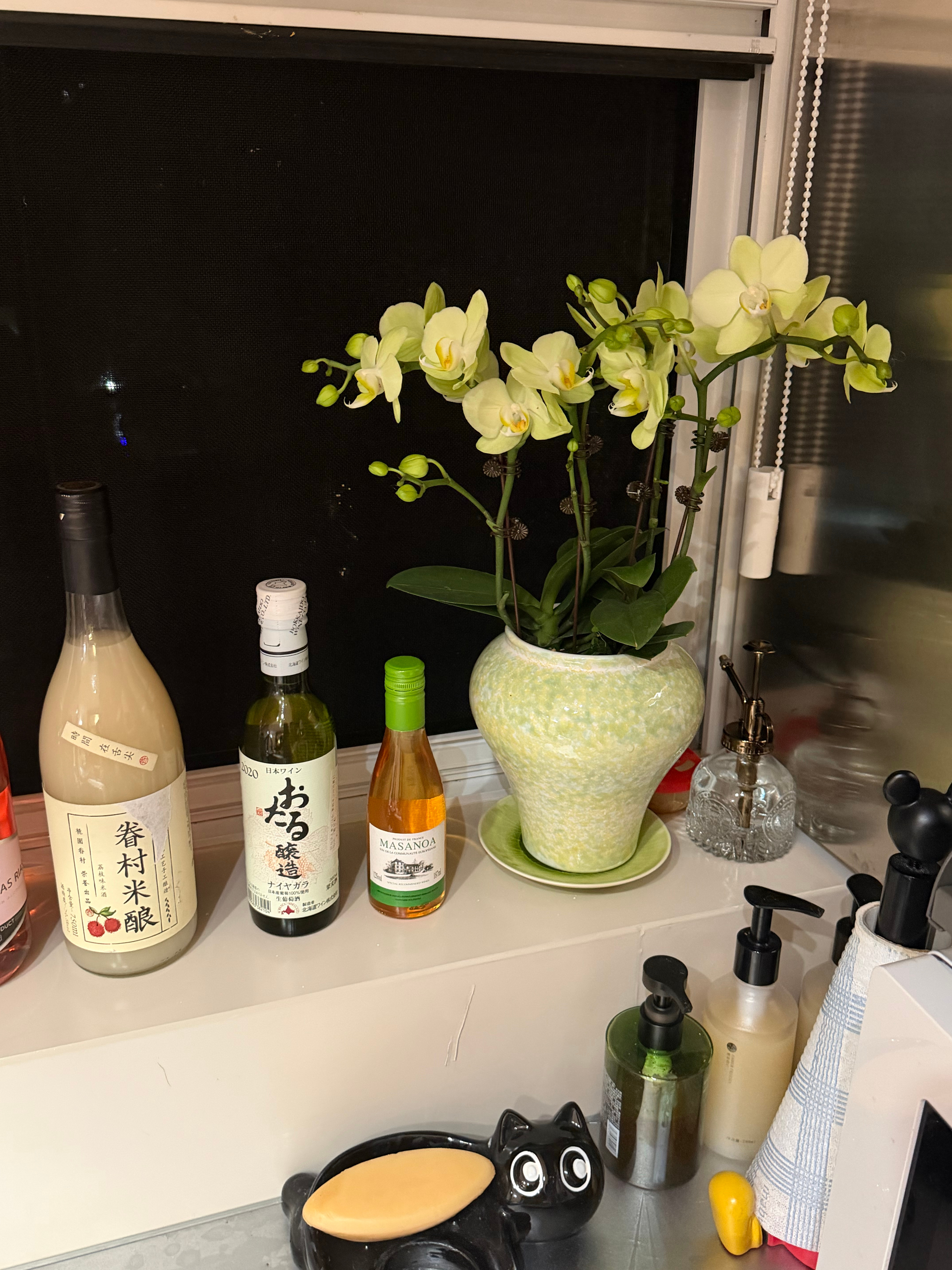 半价淘的破损盘子 意外的很配黄色蝴蝶兰🌷 