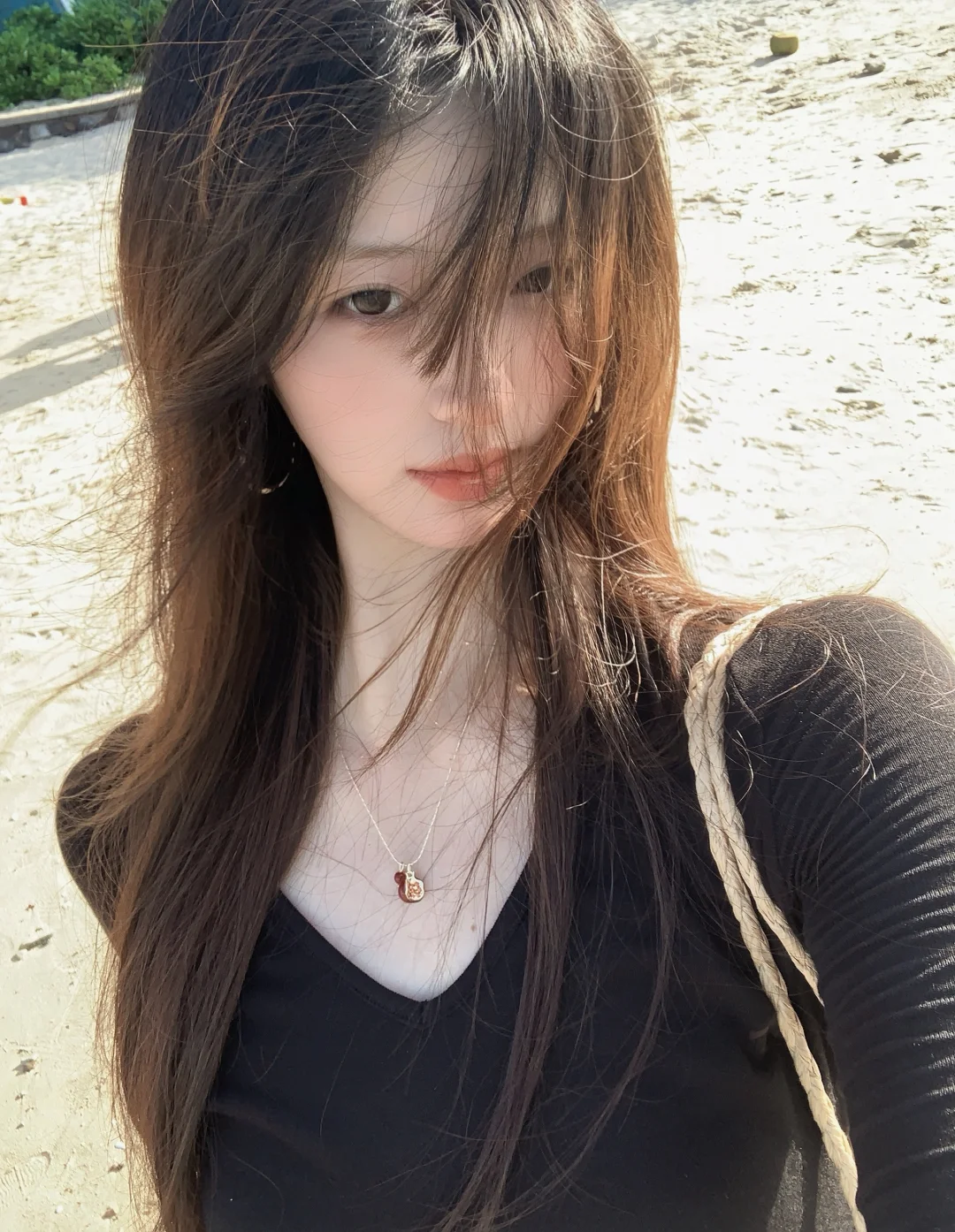 🐚