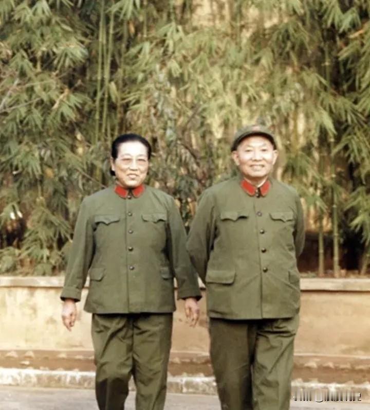 一九七八年，昆明一个普通公园里，两位穿六五式军装的老人沿着小路慢慢走。
这个人叫