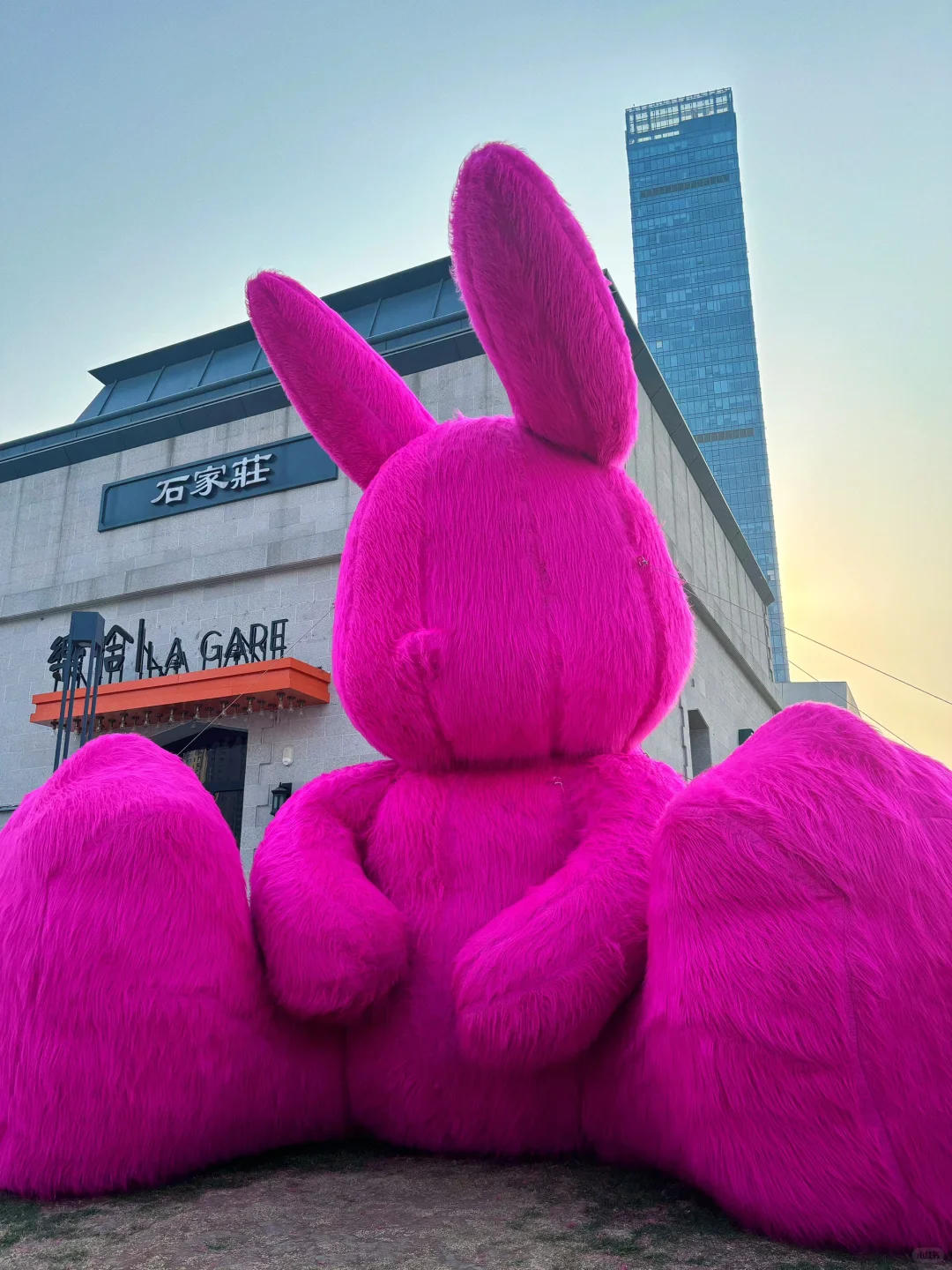 我们如此热爱♥️石家庄(附行程路线)