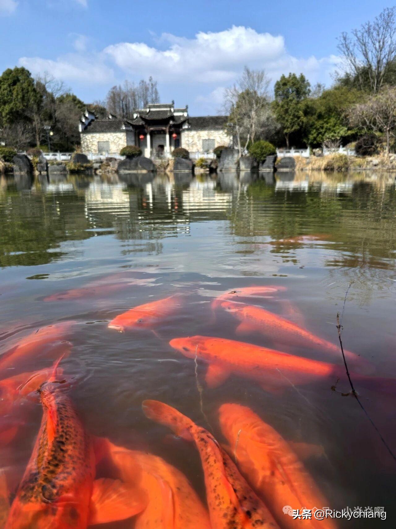 如果加班成为常态就会被包装成为文化，你要是不顺从，就是和文化格格不入……

就像