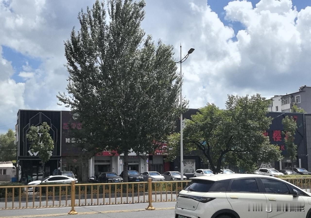这是吉林市有名的ktv一条街，当地人戏称为“狼嚎一条街”。
一提“狼嚎一条街”，