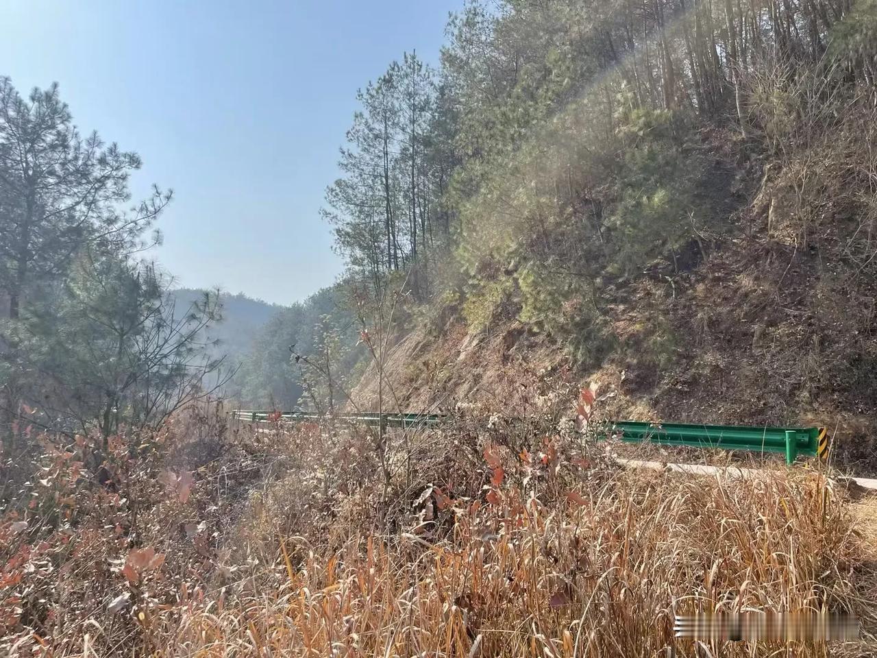 大寒日山间小路，阳光洒落，自然之美尽收眼底。🌳🌞