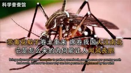 今年蚊子确实是“史诗级加强”，南方3月就被叮到失眠、北方外套还没脱就见蚊，核心是