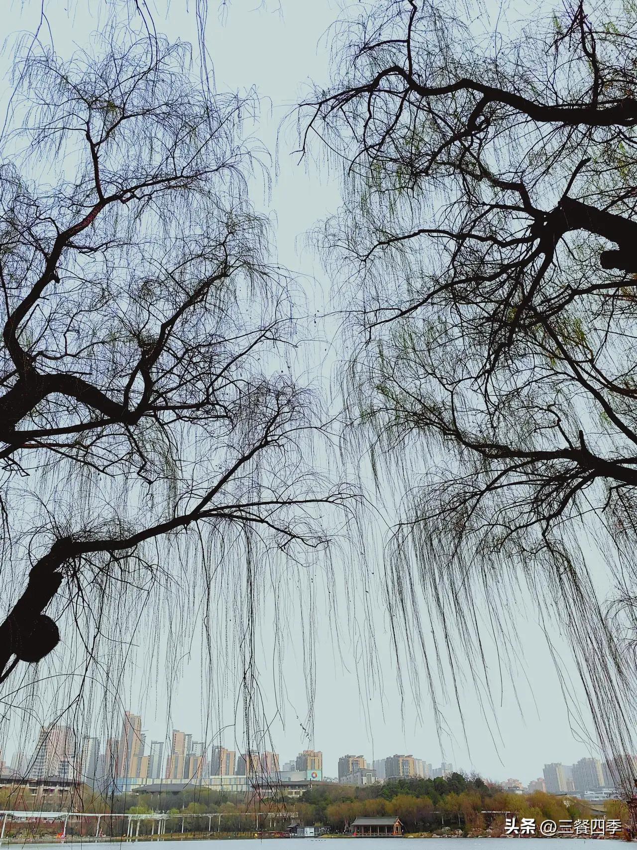 无论是热闹的鞭炮声，还是亲友间的暖心问候，都是年味的独特符号。用照片定格这些美好