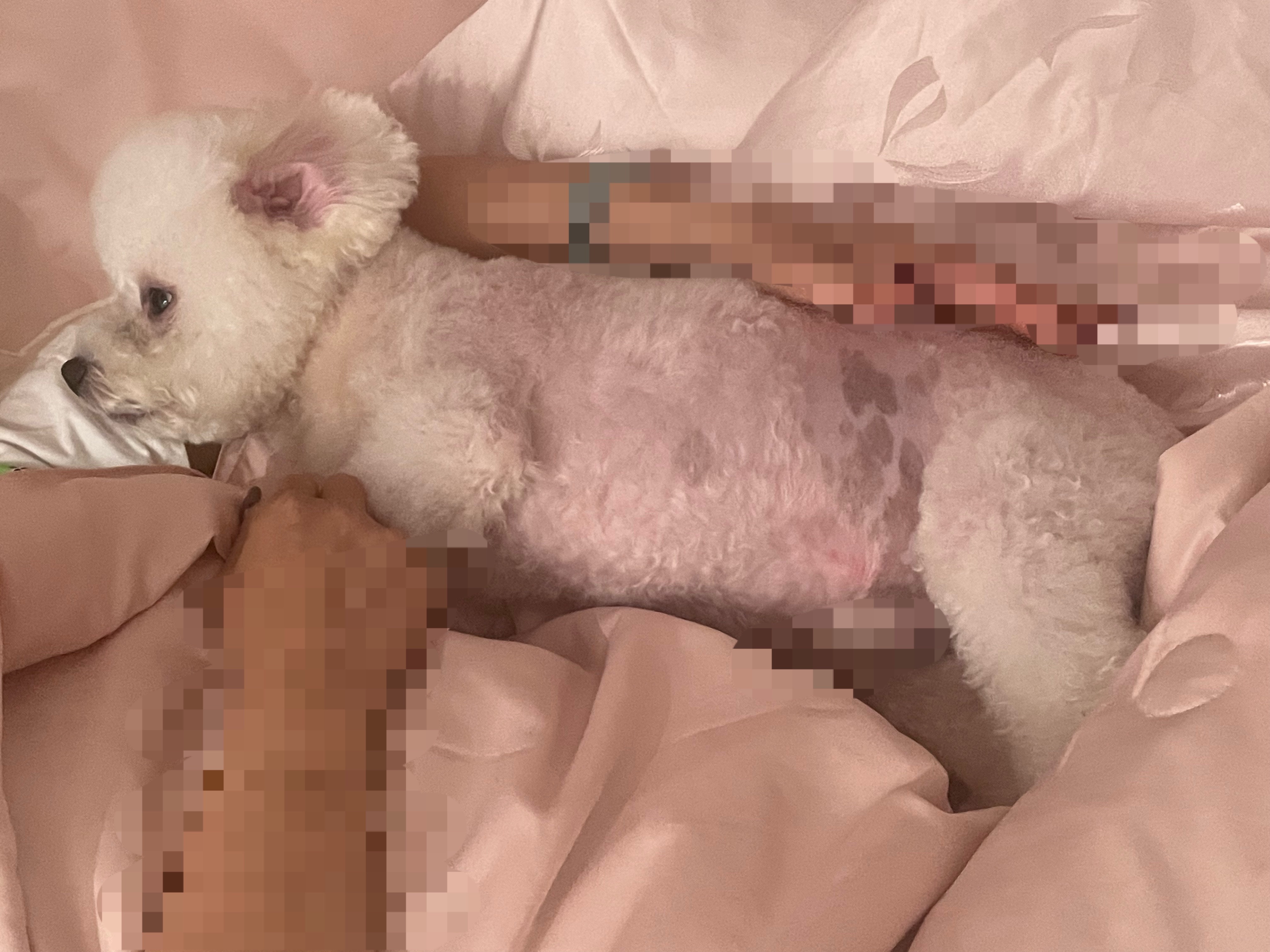 我妈在给他俩讲睡前故事