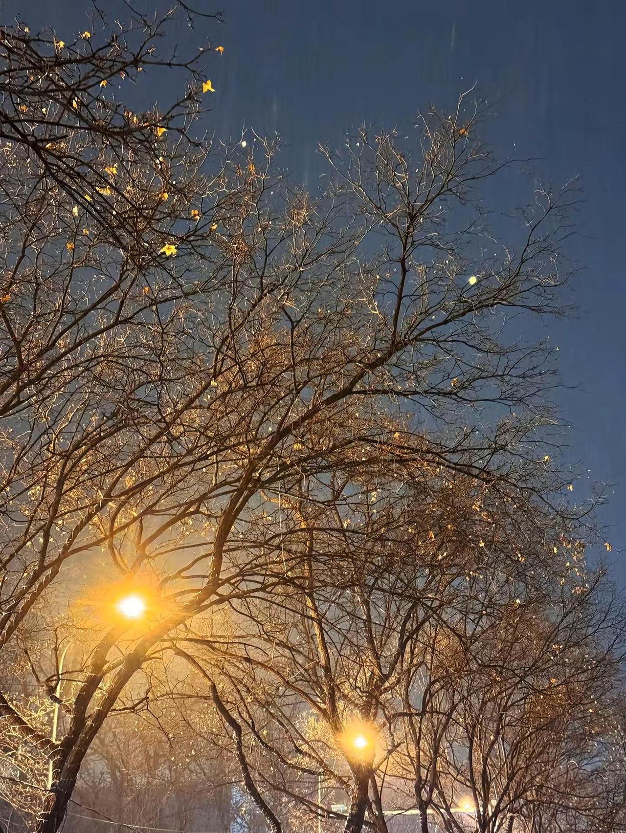 “一尺多宽的肩膀能扛住多少事，      嘈杂的世界里，我们随性就好.”