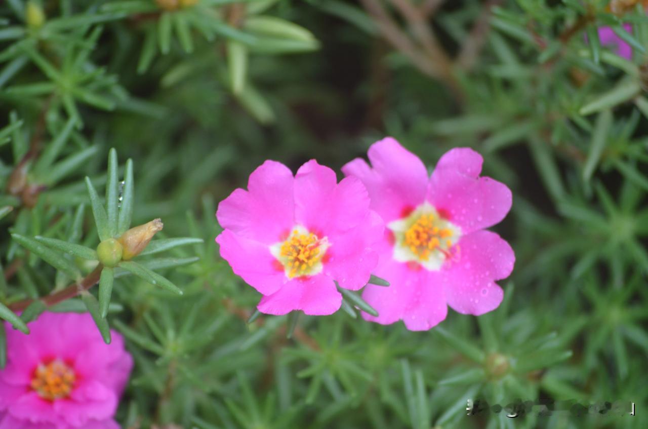 #人老了，生活不能自理能依靠谁#，
有人说现在条件这么好，依靠养老院，养老院里有