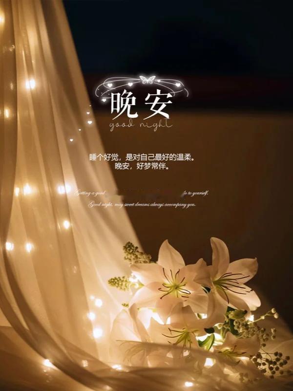 生活手记不再渴求热闹的相聚，更珍惜安静的陪伴。知道有人在远方，和你一样，认真地过