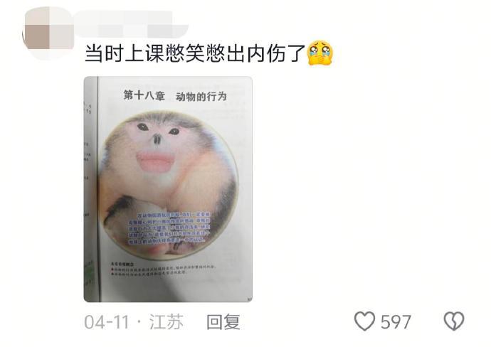 笑点低的上不了一点学哈哈哈哈 